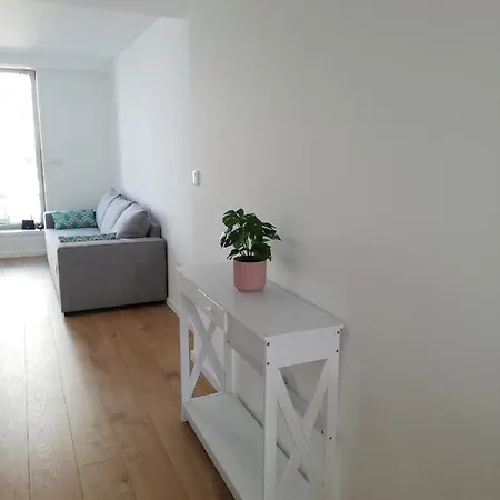 Aveiro Soul & Heart Apartment Exterior photo